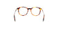 Lente Oftálmico Salvatore Ferragamo SF2823 Havana