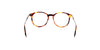 Lente Oftálmico Salvatore Ferragamo SF2823 Havana