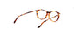 Lente Oftálmico Salvatore Ferragamo SF2823 Havana