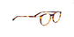 Lente Oftálmico Salvatore Ferragamo SF2823 Havana