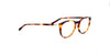 Lente Oftálmico Salvatore Ferragamo SF2823 Havana