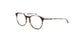 Lente Oftálmico Salvatore Ferragamo SF2823 Gris