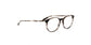 Lente Oftálmico Salvatore Ferragamo SF2823 Gris