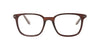 Lente Oftálmico Salvatore Ferragamo SF2800 Café