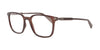 Lente Oftálmico Salvatore Ferragamo SF2800 Café