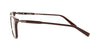 Lente Oftálmico Salvatore Ferragamo SF2800 Café