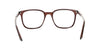Lente Oftálmico Salvatore Ferragamo SF2800 Café