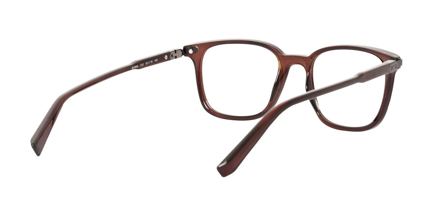 Lente Oftálmico Salvatore Ferragamo SF2800 Café