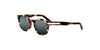 Lente Solar Salvatore Ferragamo SF935S Havana