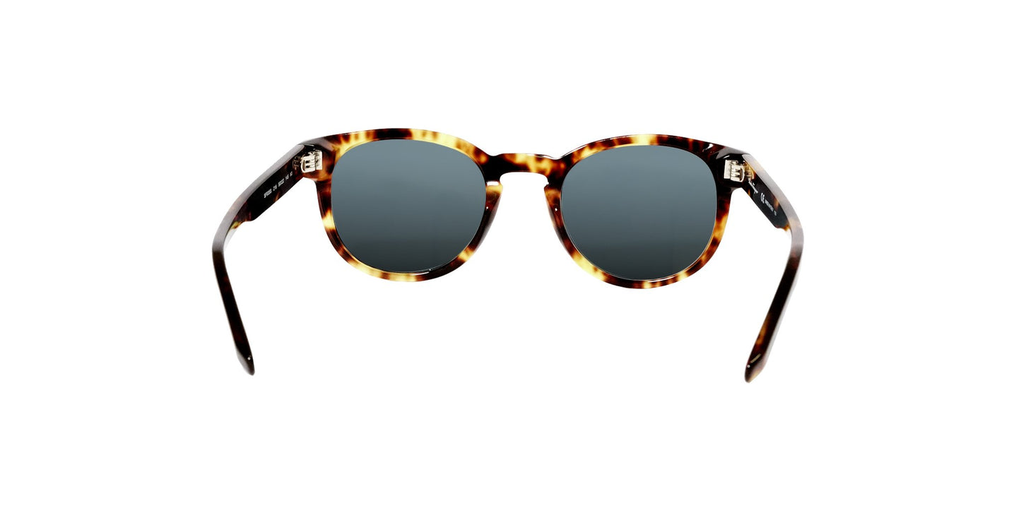 Lente Solar Salvatore Ferragamo SF935S Havana