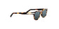 Lente Solar Salvatore Ferragamo SF935S Havana