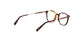 Lente Oftálmico Ermenegildo Zegna EZ5140 Havana